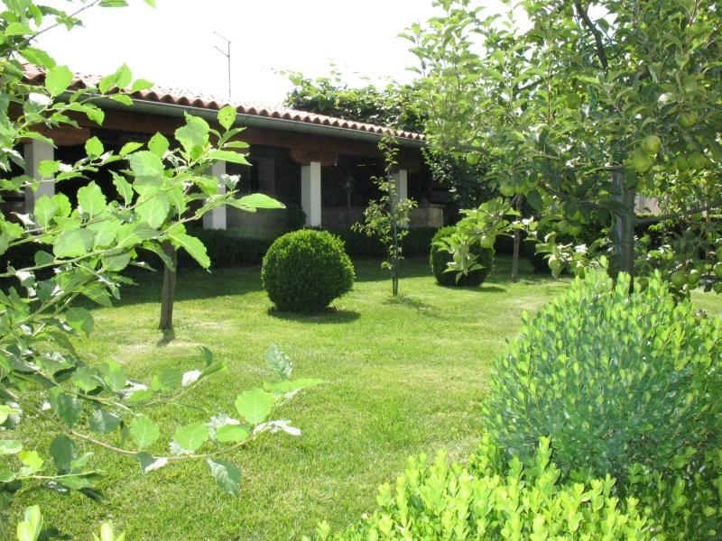 Apartment Pokrajac 罗维尼村 外观 照片